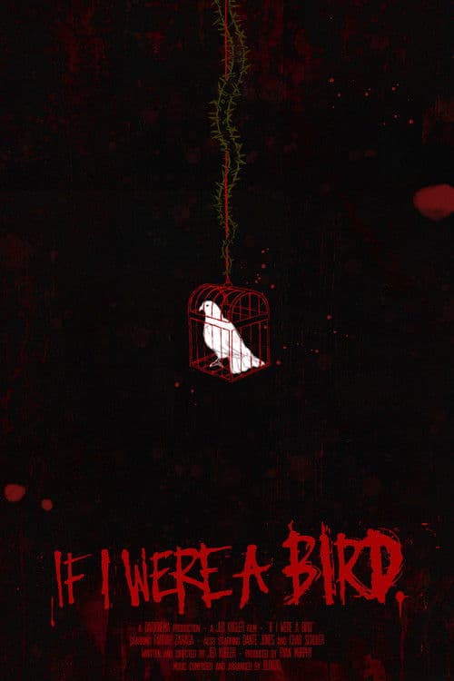 If I Were A Bird poster