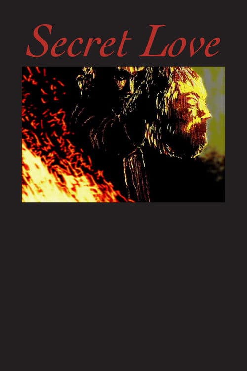 Secret Love poster