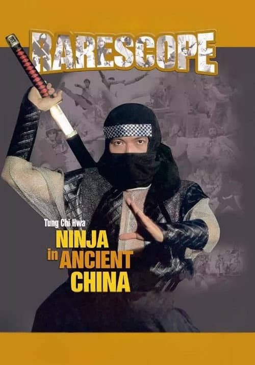 Ninja in Ancient China poster