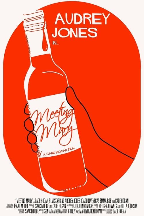 Meeting Mary poster