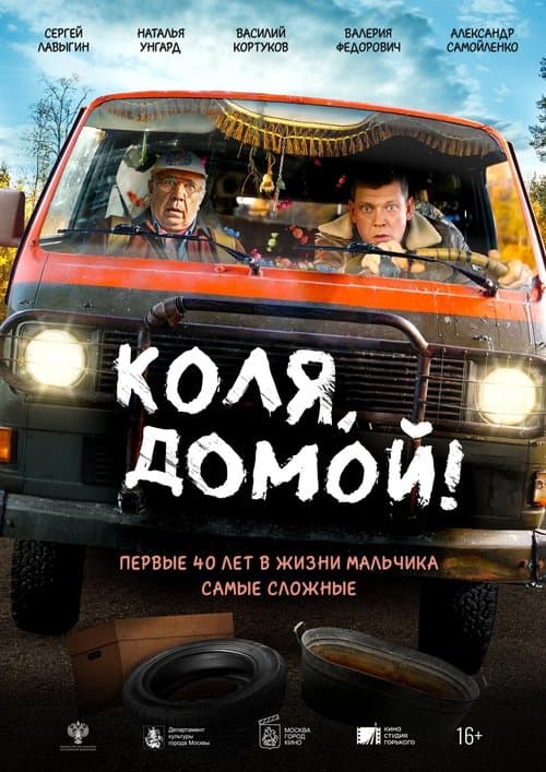 Коля, домой! poster