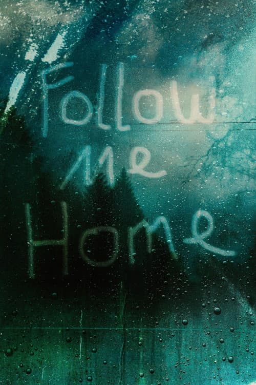 Follow Me Home poster