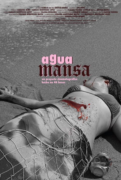 Agua Mansa poster
