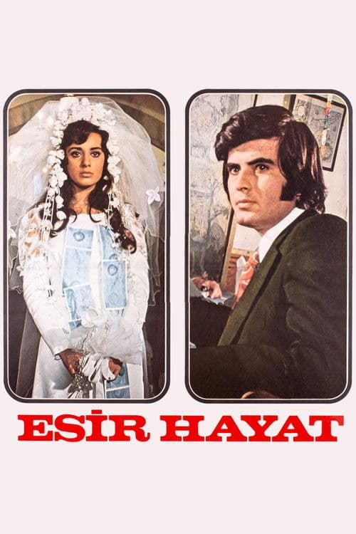Esir Hayat poster