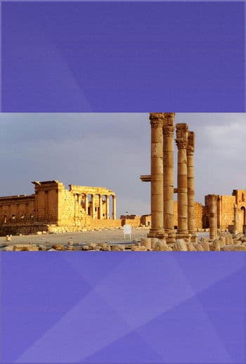 Die Rettung Palmyras poster