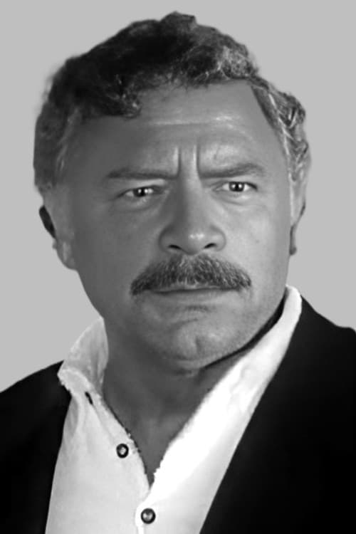 Nikša Stefanini profile photo