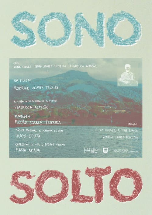 Sono Solto poster