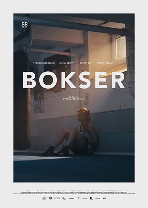 Boxer poster
