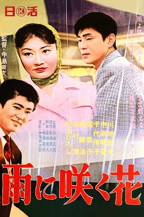 Flowers in the rain poster