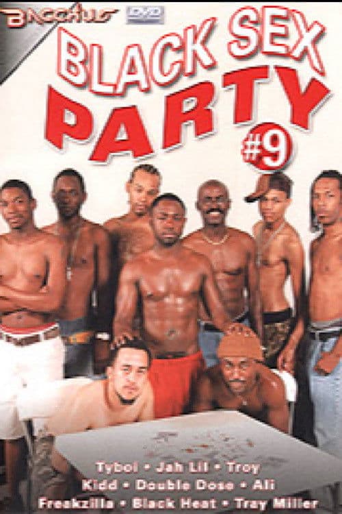 Black Sex Party 9 poster