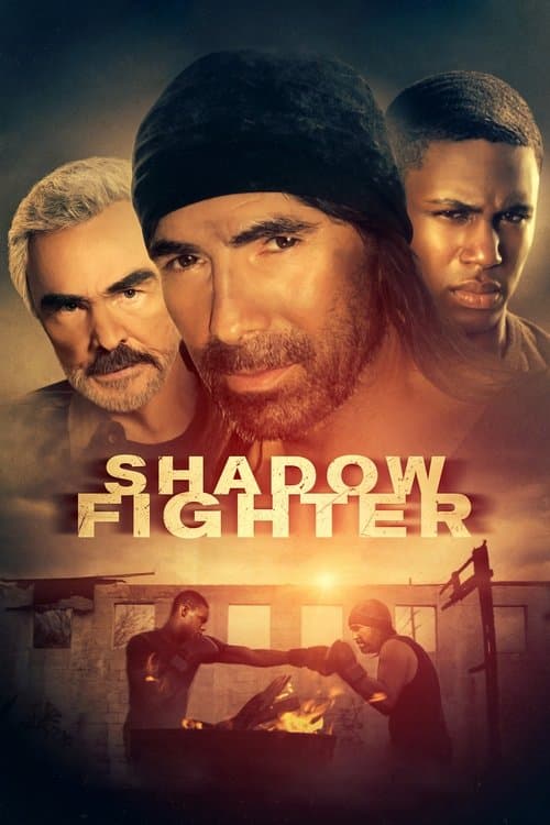 Shadow Fighter poster