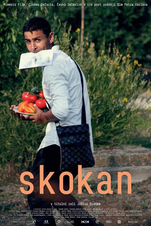 Skokan poster