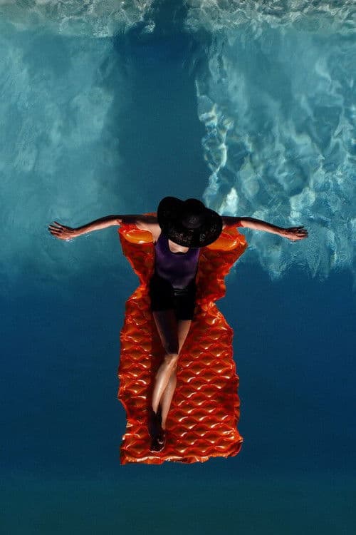 Beauty is Revenge poster