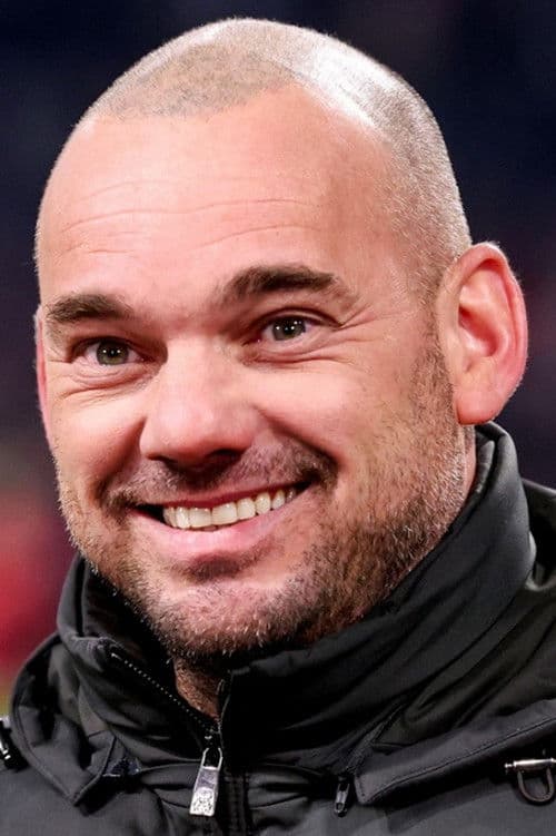 Wesley Sneijder profile photo