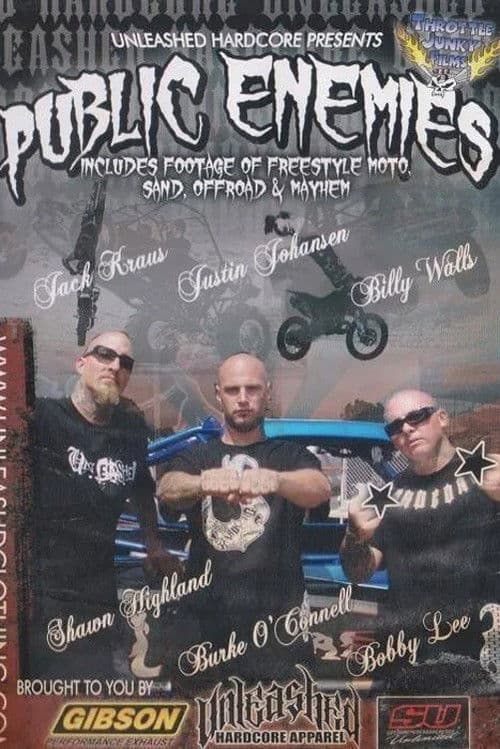 Public Enemies poster