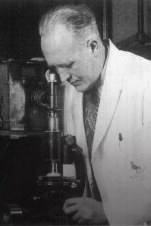 Jan Cornelis Mol profile photo