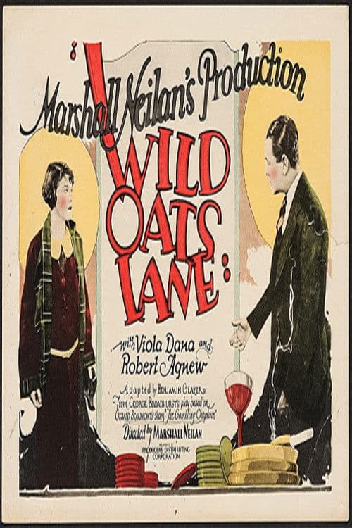 Wild Oats Lane poster
