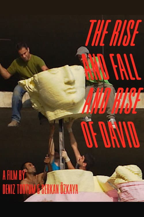 The Rise and Fall and Rise of David poster