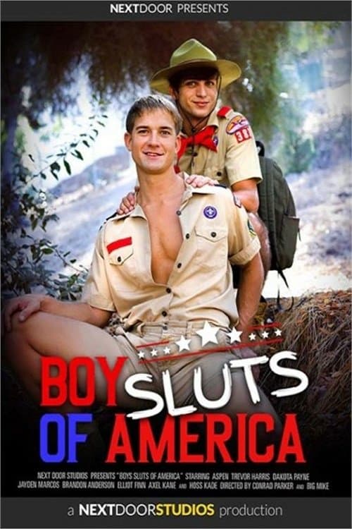 Boy Sluts Of America poster
