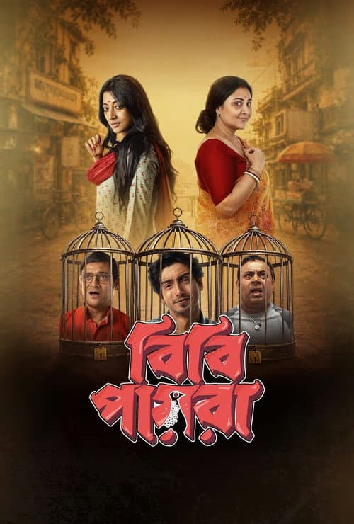 Bibi Payra poster