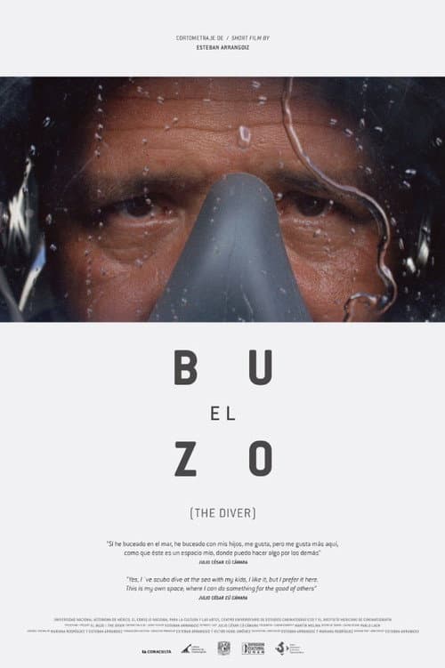 The Diver poster