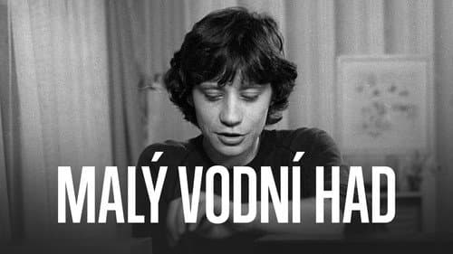 Malý vodní had poster
