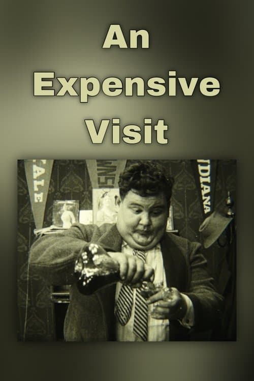 An Expensive Visit poster