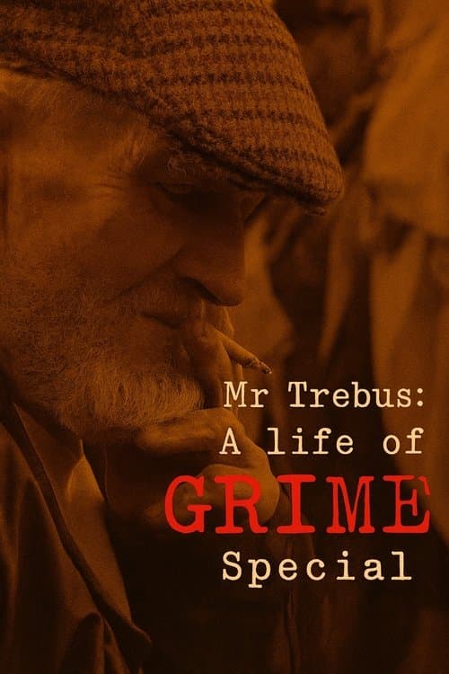 Mr Trebus: A Life of Grime poster