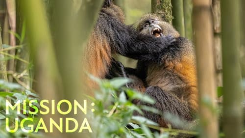 Mission: Uganda poster