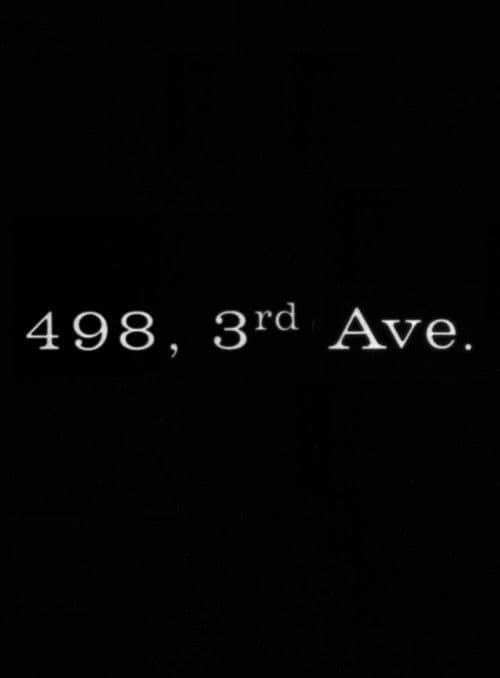 498 Third Avenue poster