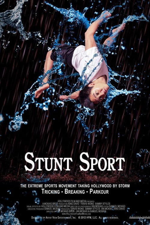 Stunt Sport poster