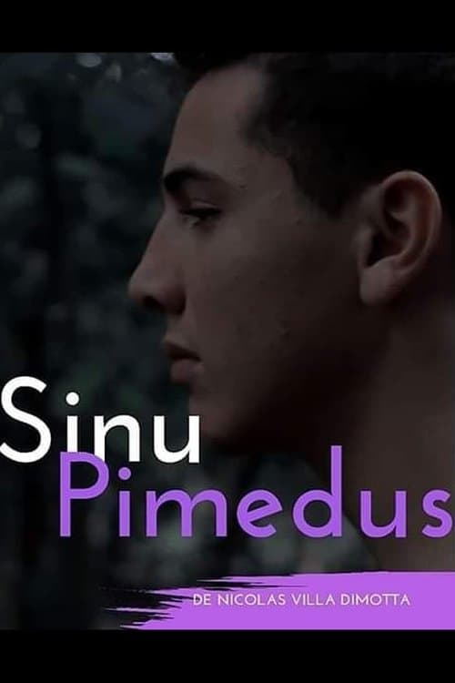 Sinu Pimedus poster