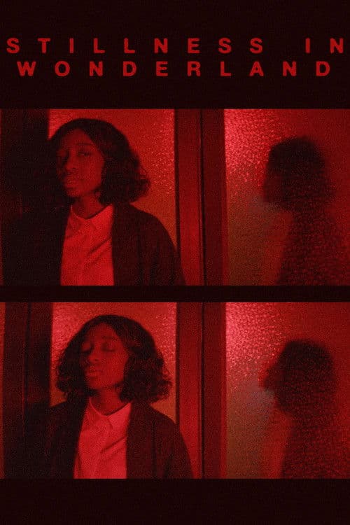 STILLNESS IN WONDERLAND: THE FILM poster