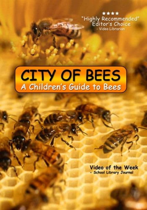 City of Bees poster