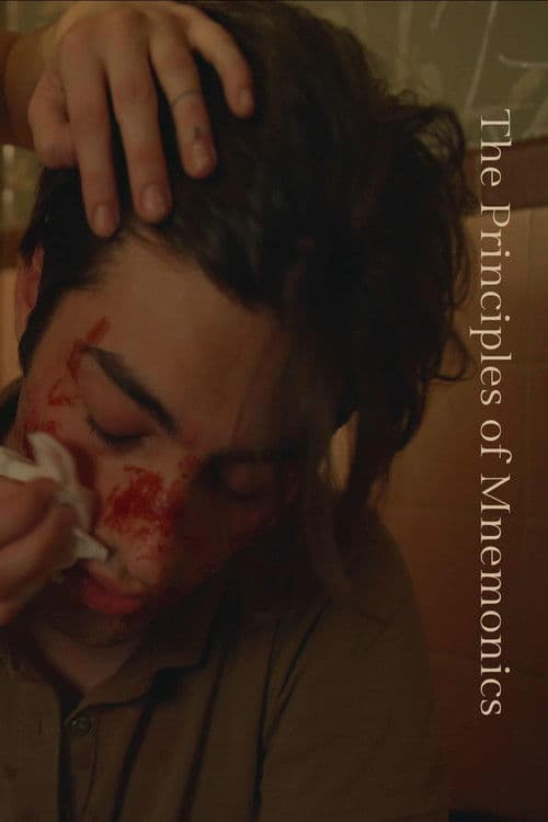 The Prinicples of Mnemonics poster