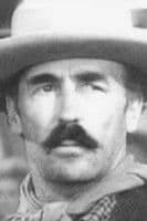 John Halloran profile photo