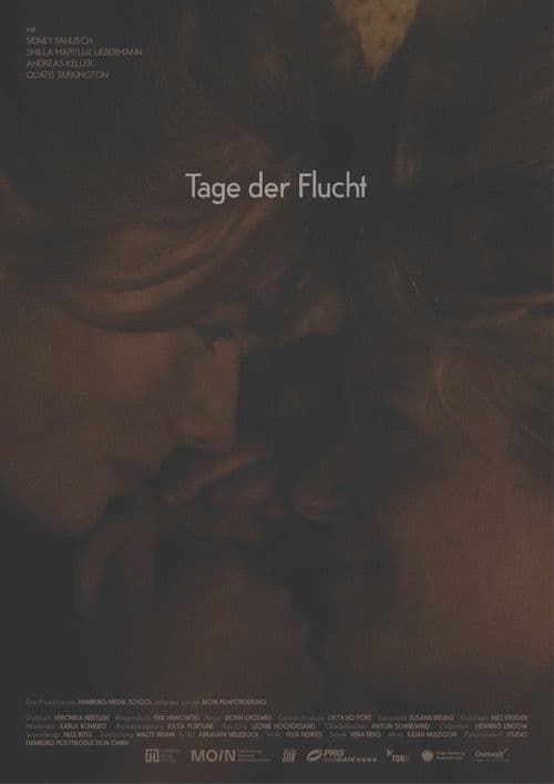 Days of Crossing the Border poster