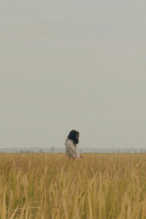 The Lost Piece poster