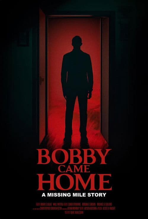 Bobby Came Home poster