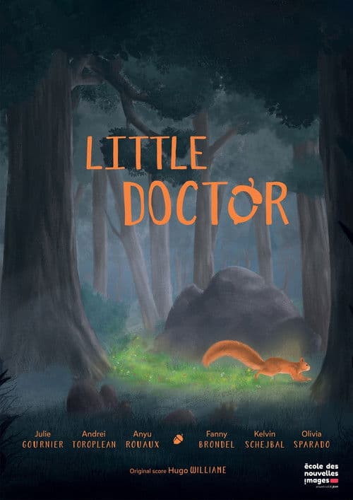 Little Doctor poster