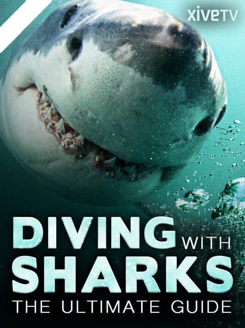 Diving with Sharks: The Ultimate Guide poster