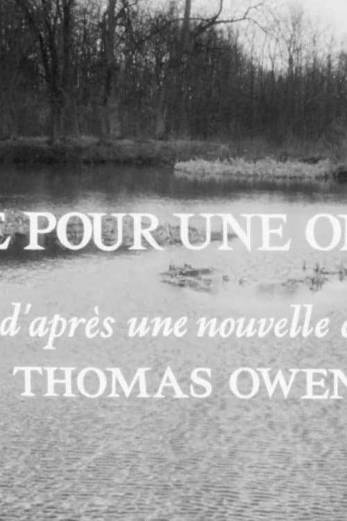 Pitié pour une ombre poster