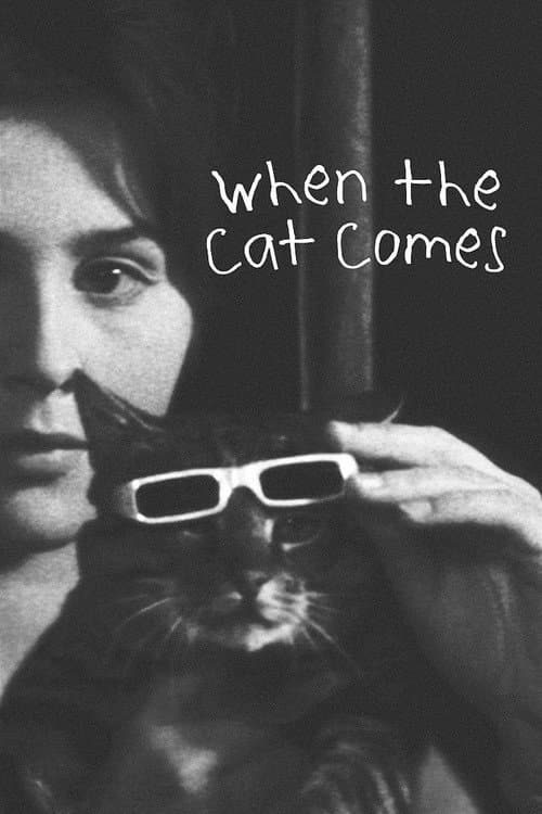 When the Cat Comes poster
