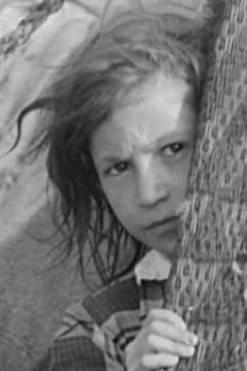 They Come Across the Borders poster