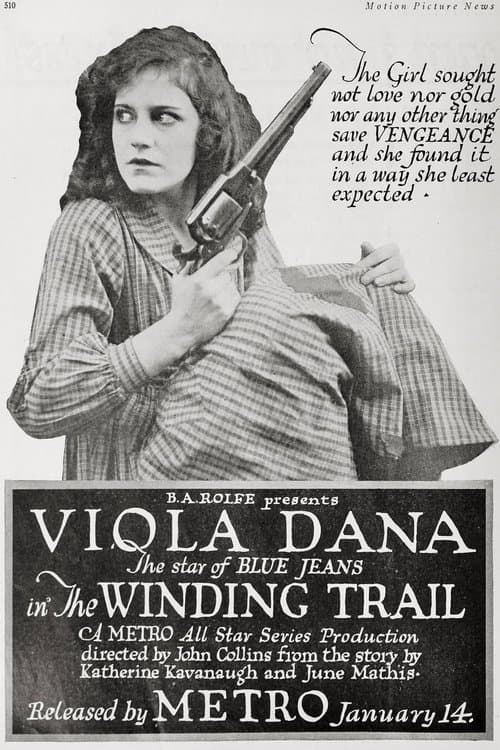 The Winding Trail poster