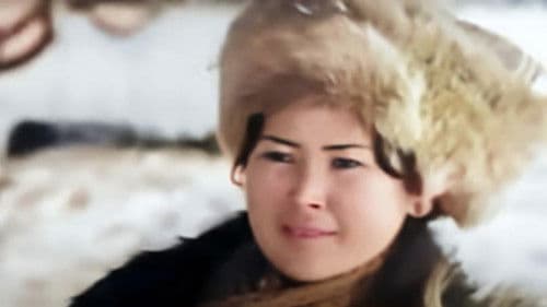 Grey Skies Are Going to Clear Up poster