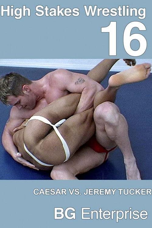 High Stakes Wrestling 16 poster