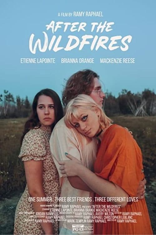 After the Wildfires poster