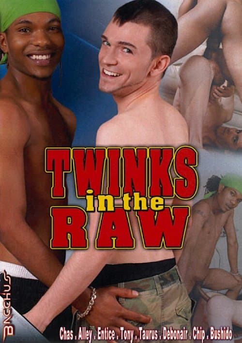 Twinks in the Raw poster
