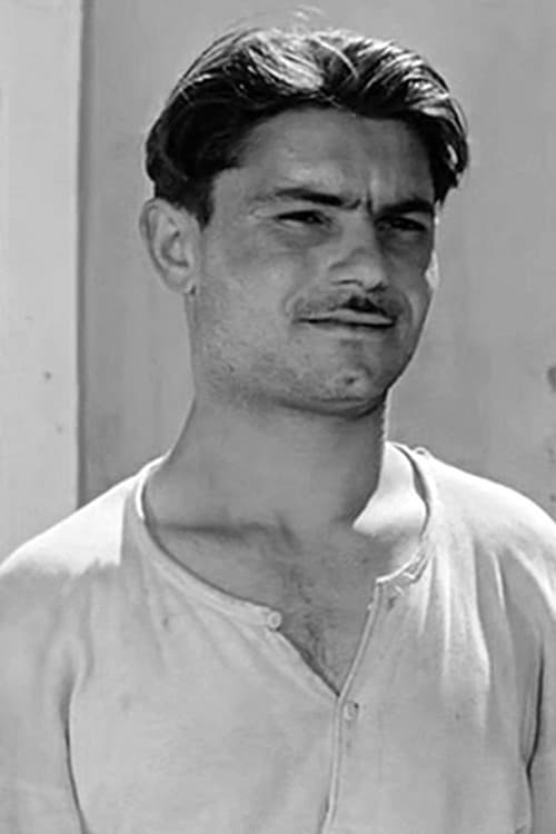 Nicola Castorino profile photo